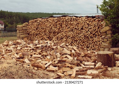 Farm In Ukraine. Wood Preparation. Firewood. Against The Backdrop Of A Pine Forest