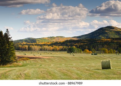 Farm Views In The Alberta Foothills