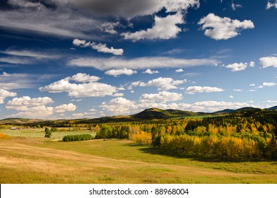 Farm Views In The Alberta Foothills