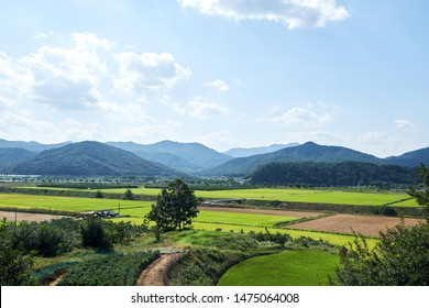 Farm Village In South Korea