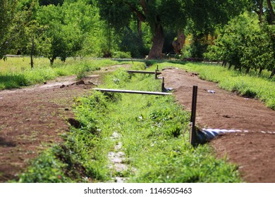 Farm Waterway Day Summer