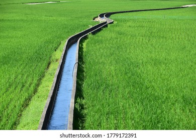 Farm Waterway At The Rice Paddy