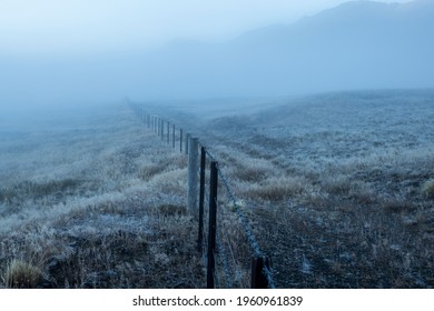 Farm Wire Fence, A Number 8 Wire Fence, Typically Found On All New Zealand Farms. 