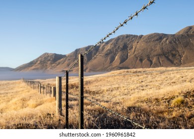 Farm Wire Fence, A Number 8 Wire Fence, Typically Found On All New Zealand Farms. 