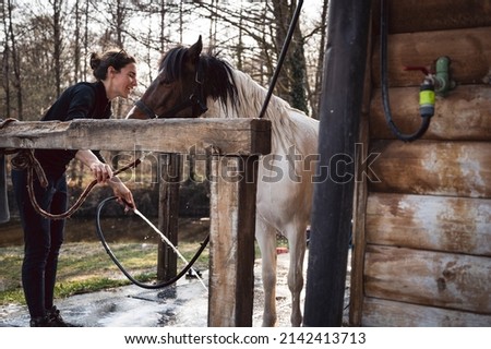 Farm woman washing young pony with splashing water from hose on countryside ranch