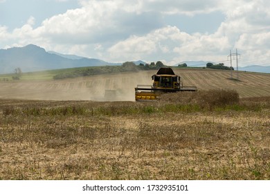 Farm Work Throughout The Year. Plowing, Preparation Of Senaze. Sheep In The Barn And On The Waist, Manure Spreading, Oilseed Rape Cultivation. Horses.work On The Farm In Summer And Winter. Still