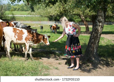 Farm Work Throughout The Year. Plowing, Preparation Of Senaze. Sheep In The Barn And On The Waist, Manure Spreading, Oilseed Rape Cultivation. Horses.work On The Farm In Summer And Winter. Still