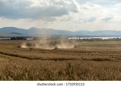 Farm Work Throughout The Year. Plowing, Preparation Of Senaze. Sheep In The Barn And On The Waist, Manure Spreading, Oilseed Rape Cultivation. Horses.work On The Farm In Summer And Winter. Still