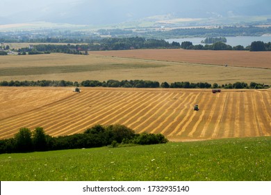 Farm Work Throughout The Year. Plowing, Preparation Of Senaze. Sheep In The Barn And On The Waist, Manure Spreading, Oilseed Rape Cultivation. Horses.work On The Farm In Summer And Winter. Still