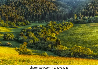 Farm Work Throughout The Year. Plowing, Preparation Of Senaze. Sheep In The Barn And On The Waist, Manure Spreading, Oilseed Rape Cultivation. Horses.work On The Farm In Summer And Winter. Still