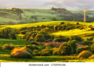 Farm Work Throughout The Year. Plowing, Preparation Of Senaze. Sheep In The Barn And On The Waist, Manure Spreading, Oilseed Rape Cultivation. Horses.work On The Farm In Summer And Winter. Still