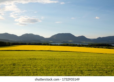 Farm Work Throughout The Year. Plowing, Preparation Of Senaze. Sheep In The Barn And On The Waist, Manure Spreading, Oilseed Rape Cultivation. Horses.work On The Farm In Summer And Winter. Still