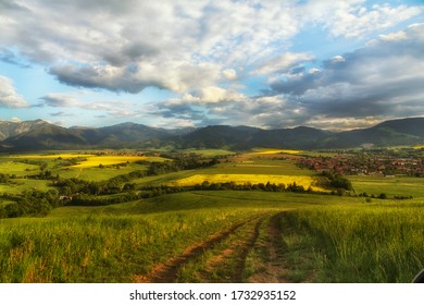 Farm Work Throughout The Year. Plowing, Preparation Of Senaze. Sheep In The Barn And On The Waist, Manure Spreading, Oilseed Rape Cultivation. Horses.work On The Farm In Summer And Winter. Still