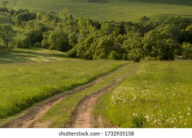 Farm Work Throughout The Year. Plowing, Preparation Of Senaze. Sheep In The Barn And On The Waist, Manure Spreading, Oilseed Rape Cultivation. Horses.work On The Farm In Summer And Winter. Still