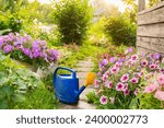 Farm worker gardening tools. Blue plastic watering can for irrigation plants placed in garden with flowers on flowerbed and flowerpot on sunny summer day. Gardening hobby agriculture concept