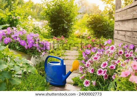 Farm worker gardening tools. Blue plastic watering can for irrigation plants placed in garden with flowers on flowerbed and flowerpot on sunny summer day. Gardening hobby agriculture concept