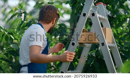 Similar – Image, Stock Photo summer joy Organic produce