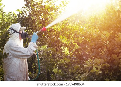 Farm Worker Spray Ecological Pesticide. Farmer In Protective Suit And Mask Fumigate Lemon Trees. Man Spraying Toxic Pesticides, Pesticide, Insecticides 