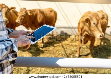Farm  worker using a digital tablet to inspect livestock