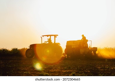Farm workers work on planting the crop. Agriculture is one of the main bases of the Brazilian economy