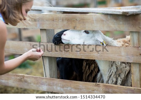 Similar – Little baby cow feeding from milk bottle.