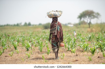 Farmer African girl walking in farm field in Chad N'Djamena travel, located in Sahel desert and Sahara. Hot weather in desert climate on the Chari river in Africa.