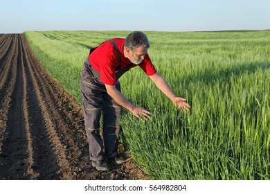 5,266 Agricultural expert Images, Stock Photos & Vectors | Shutterstock