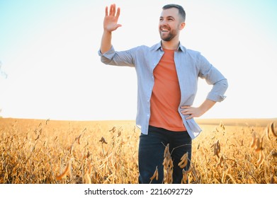 Farmer Agronomist In Soybean Field Checking Crops Before Harvest. Organic Food Production And Cultivation