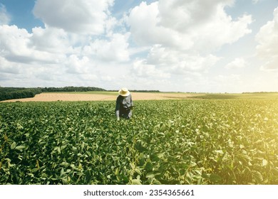 Farmer, agronomist in the soybean field. Controlling the growth of agricultural crops. Green soy with beans. Front view - Shutterstock ID 2354365661