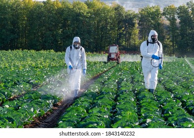 Farmer and Agronomist spraying pesticide on field with Harvest.