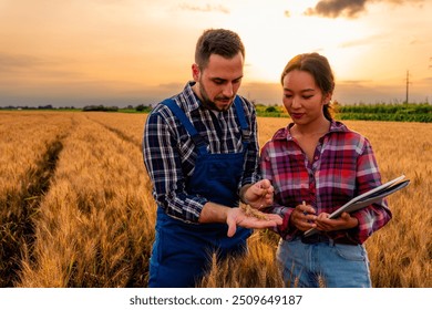 Farmer and a Agronomist stand in the wheat field, inspecting the grains to determine if the field is ready for harvest. They carefully examine the wheat, assessing its maturity and readiness - Powered by Shutterstock