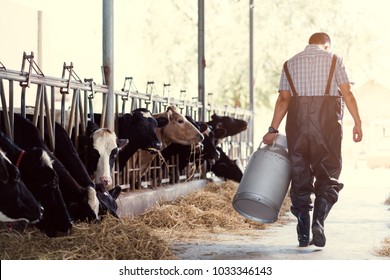 farmer asian are holding a container of milk on his farm.walking out of the farm