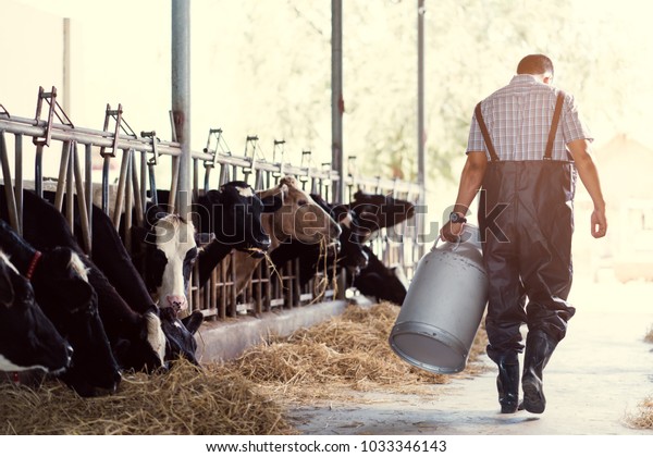 farmer asian are holding a container of milk on\
his farm.walking out of the\
farm