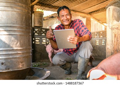 Farmer Asian With Laptop-Business And Technology Concept In The Pig Farm