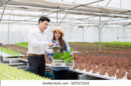 Farmer Asian Woman Hold Baskets That Contain Only Clean And Quality Organic Vegetables From Hydroponics Farm And Quality Inspector For Consumers.