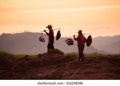 Farmer Back Home.