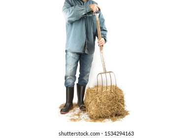 A Farmer In Blue Jeans Shirt With A Pitch Fork Stuck Into A Bale Of Straw Isolated On White