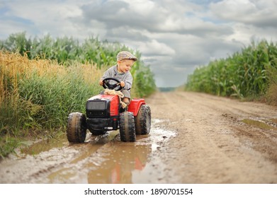 Farmer Boy On A Small Tractor In A Corn Field.
