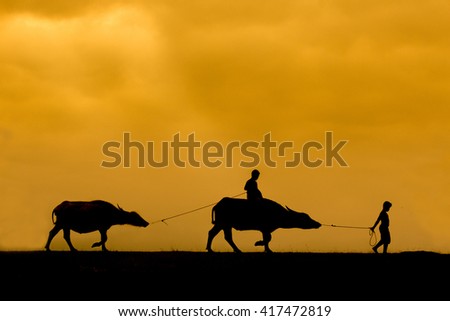 Farmer boys and their buffaloes back home in sunset, Phatthalung Province, Thailand
