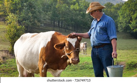 95,332 Cow farmer Images, Stock Photos & Vectors | Shutterstock
