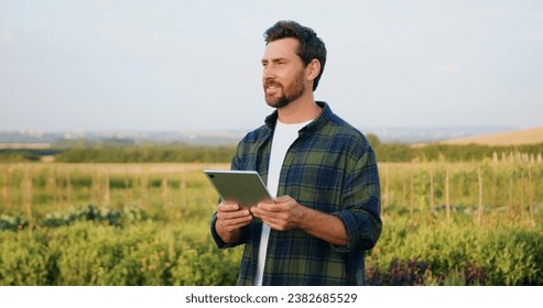 Farmer business man working with computer tablet evaluates green wheat sprouts in field at sunset. Technology of modern agriculture, farmer working on field with digital tablet - Powered by Shutterstock