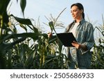 Farmer business woman in corn field. Woman farmer works in corn field. Agricultural business concept. Growing food. Harvest in field. Farmer field.