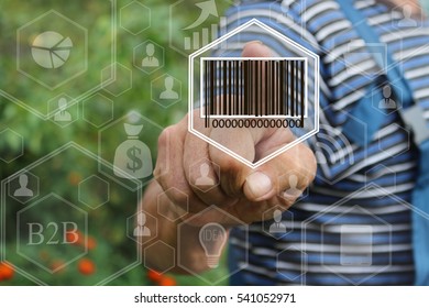 Farmer businessman clicks barcode product network icon on the touch screen the web network .Tanned hands, male hands of an elderly person . 