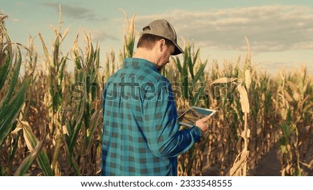 Farmer, businessman in corn field, works uses tablet computer. Male farmer with digital tablet works in corn field. Agricultural business concept. Growing food. Harvest in field in autumn. Farm field