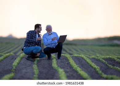 Farmer And Businessman Crouching In Field Showing Soy Seedling. Two Men Using Computer Learning Showing Explaining Innovation In Agriculture