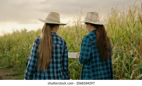 Farmer Businessman Talking In Cornfield, Making Deal, Using Computer Tablet. Growing Food. Partner. Two Farmers Women With Digital Planets Working Together In Corn Field. Agricultural Business Concept