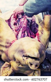 Farmer Carries Out A Slaughter Of Pig.