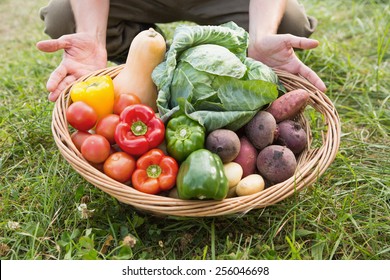 Farmer Carrying Basket Of Veg On A Sunny Day