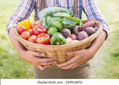 Farmer Carrying Basket Of Veg On A Sunny Day