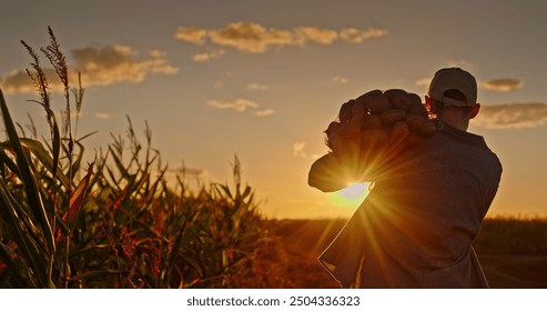 Farmer carrying a sack of potatoes on his shoulder, walking through fields in the golden light of sunset. - Powered by Shutterstock